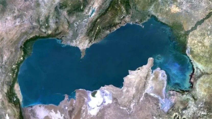 Xəzər dənizində balıqlar tələf olur