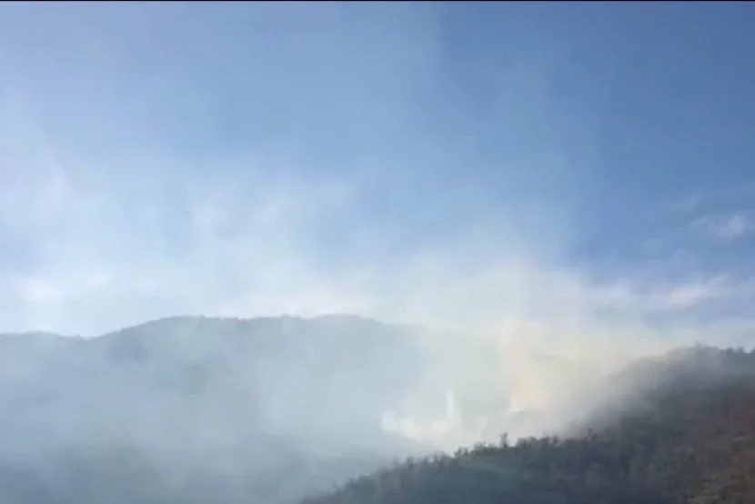 Türkiyənin Bursa şəhərində MEŞƏ YANĞINI