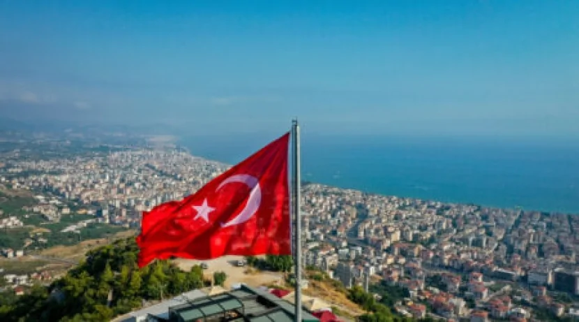Türkiyənin iki vilayətində meşə yanğınları başladı