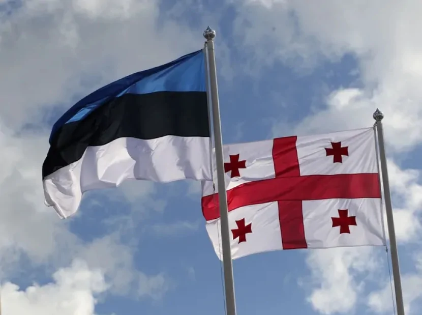 Estoniya Gürcüstan rəsmilərinə yeni sanksiya tətbiq edib