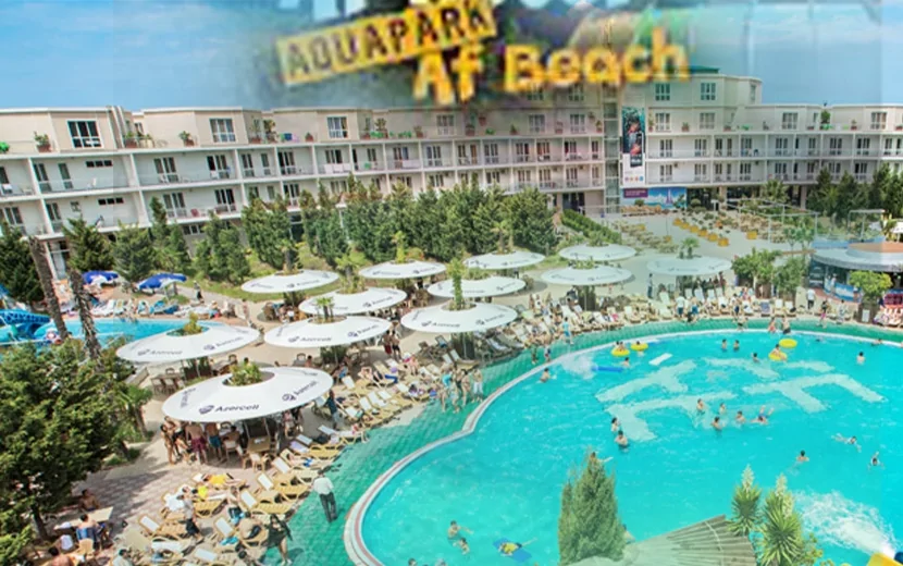 \"AF BEACH\"də heyvanlar ağır şəraitdə saxlanılır