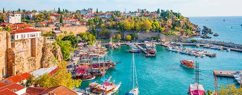 Təhlükəli bakteriya aşkarlandı