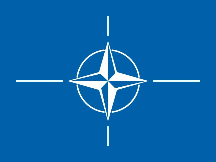 NATO-nun rolu ifşa olundu