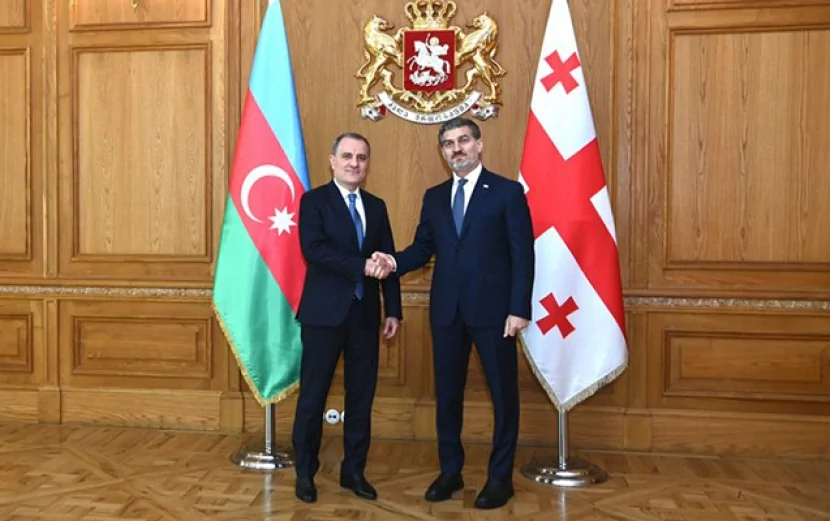 Ceyhun Bayramov Gürcüstan prezidenti ilə görüşüb