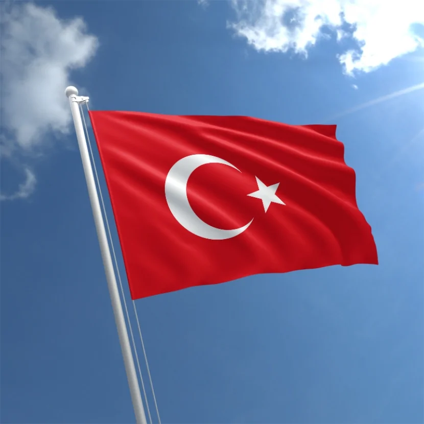 Yanğın törətdiyi üçün həbs edildi