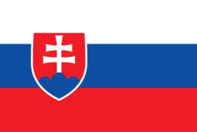 Slovakiyada təyyarə qəzaya düşdü