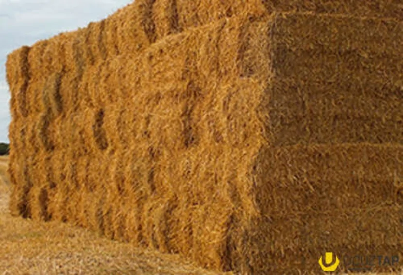 20 ton ot bağlaması YANDI