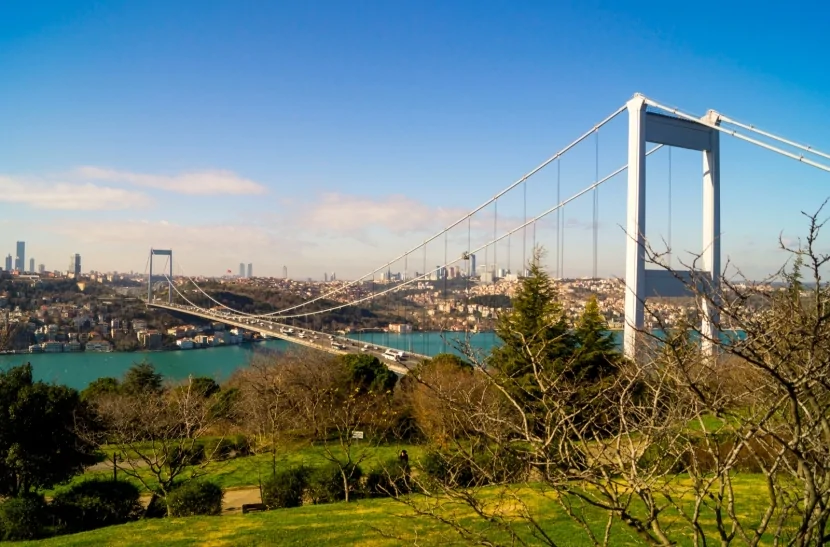 İstanbulda meşə yanğını BAŞLADI - FOTO