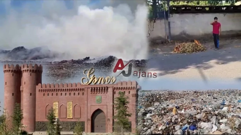 GƏNCƏDƏ ağacların “soyqırımı”- Küçələrdə od vurulan ZİBİLLƏR…