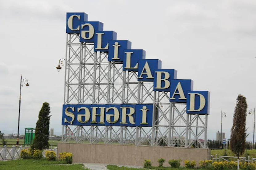 Cəlilabadda çaqqal kənd sakinlərinə hücum edib- - Yaralananlar var