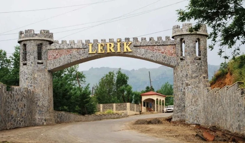 Meşədə odun doğrayarkən ÖLDÜ