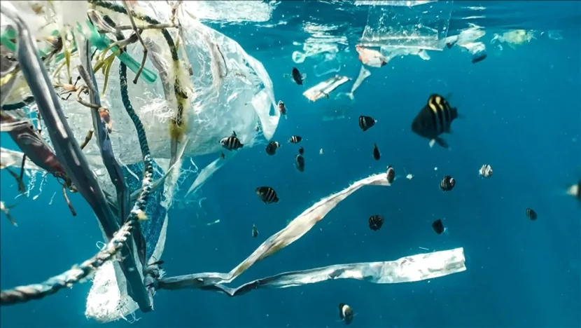 Asiyada plastik tullantıların sızması 2050-ci ilə qədər 70% arta bilər