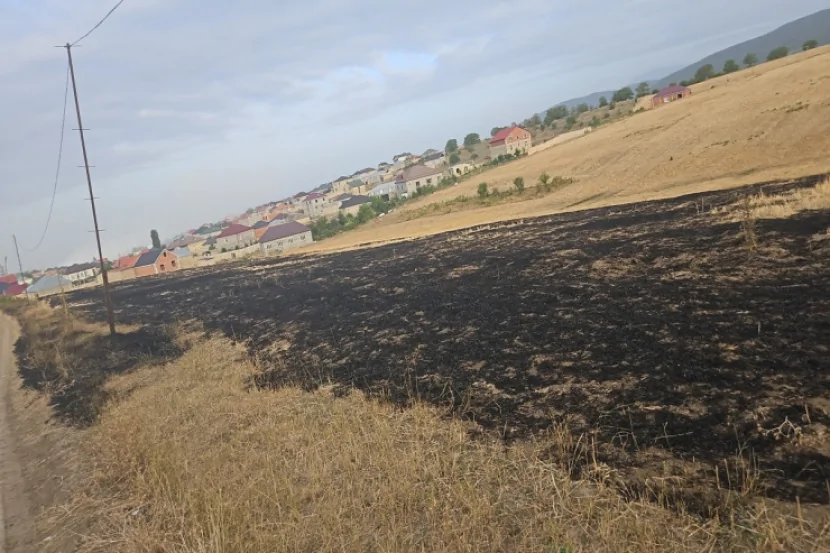 Qubada yanğın törədən TUTULDU