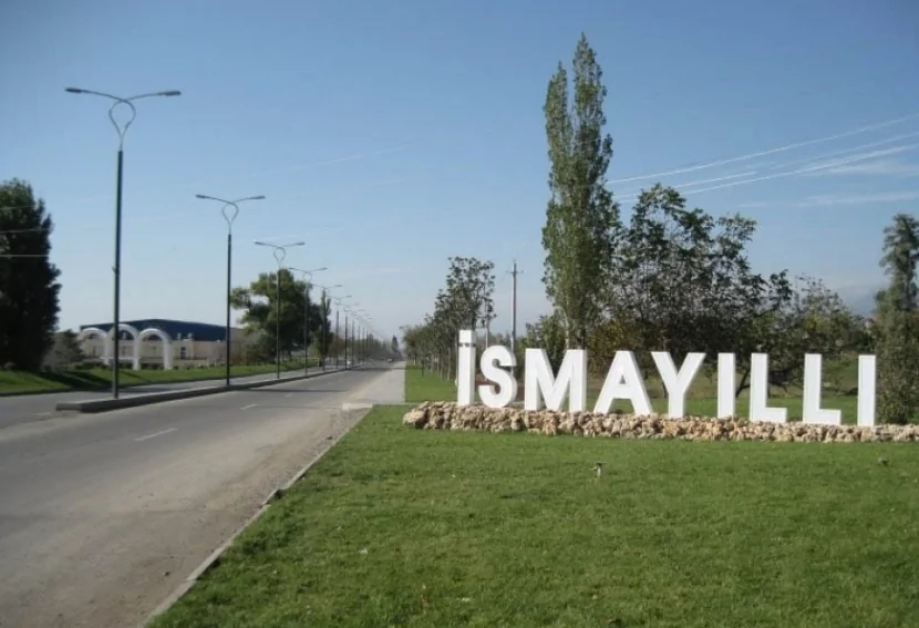 Bostan bitkilərinin arasında çətənə kolu yetişdirdi