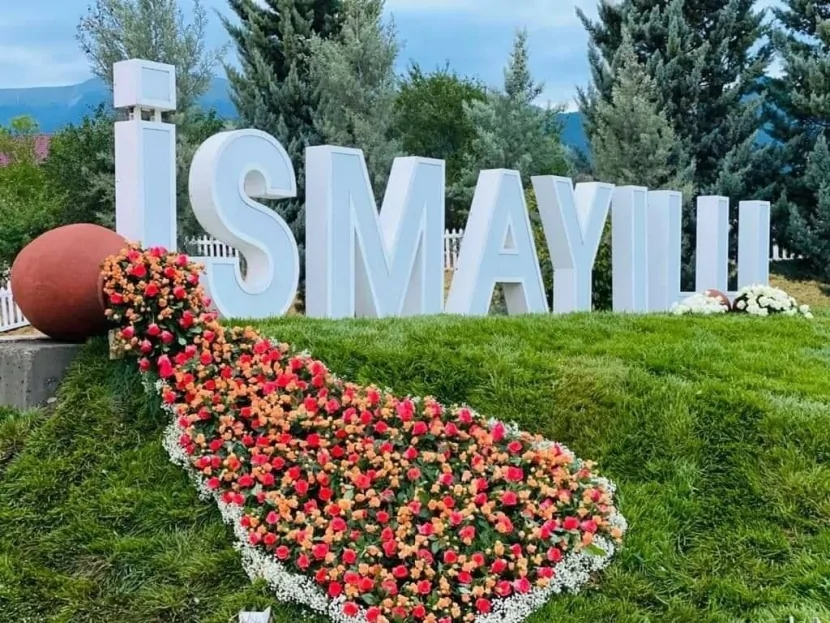 Arvad ərini kürəyindən bıçaqladı
