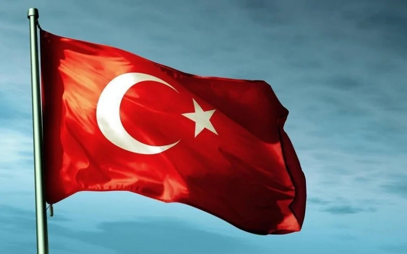 Türkiyə dəhşətli meşə yanğını