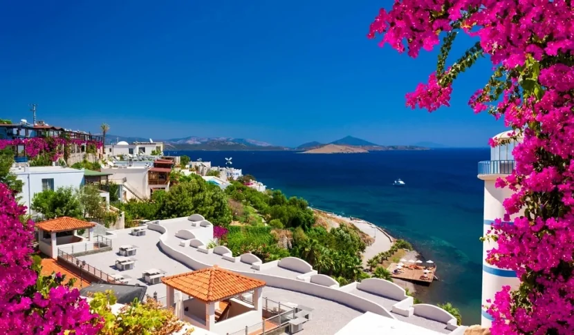 Bodrumdakı meşə yanğını nəzarət altına alındı