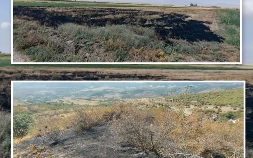 Füzuli və Xocavənddə yanğın törədənlər cəzalandırıldı