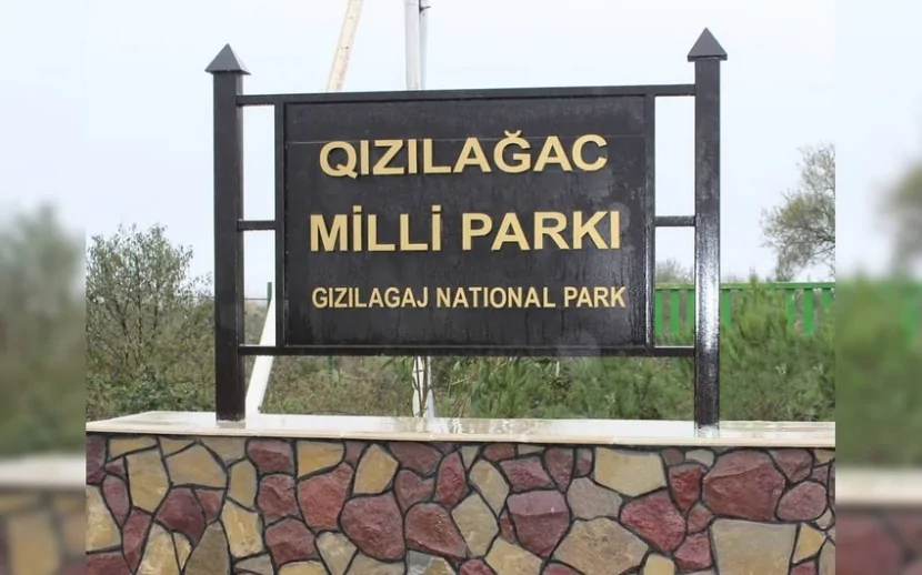 Qızılağac Milli Parkının ərazisində YANĞIN