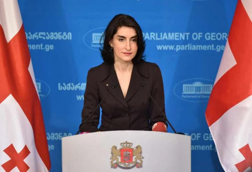 Gürcüstanın XİN rəhbərindən AÇIQLAMA