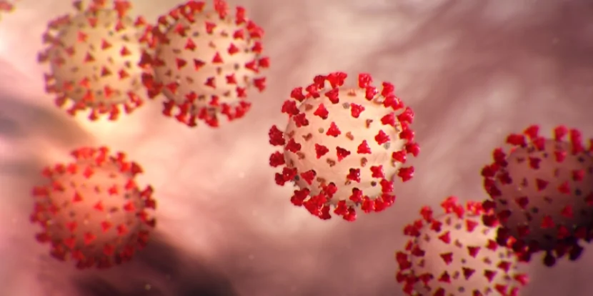 MERS virusuna yoluxanlar var - TƏCİLİ