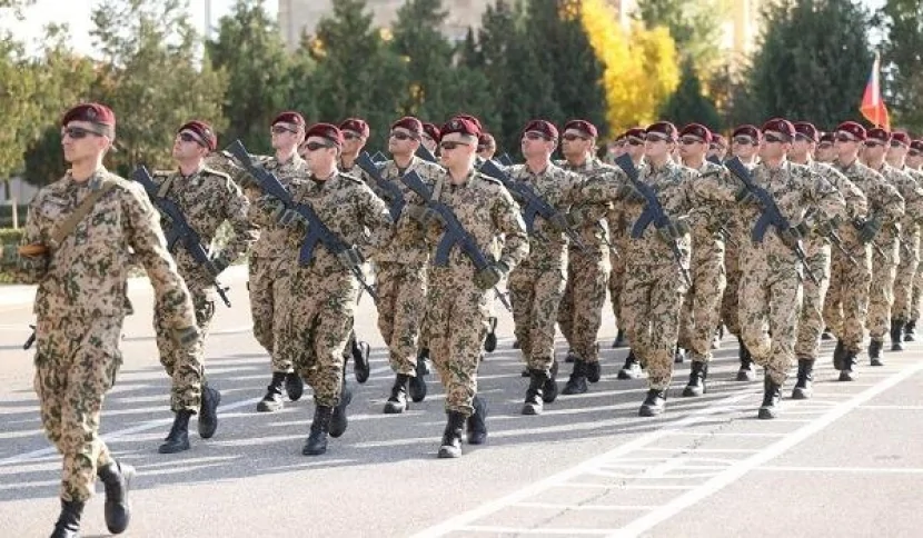 Daxili qoşunların tərkibi belə olacaq