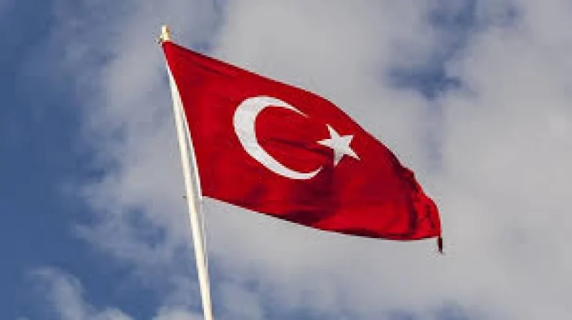 Türkiyədə dəhşətli yol qəzası - 15 nəfər yaralandı