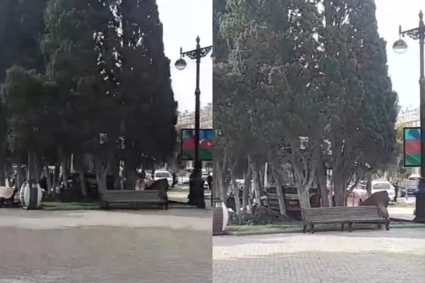 Sərnişin avtobusu bulvar ərazisindəki ağaclara ÇIRPILDI