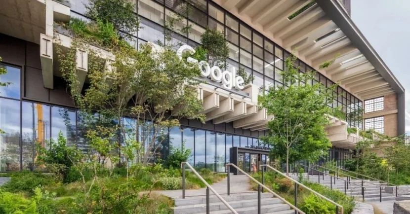 \"Google\"un  ofisini BÖCƏK BASIB