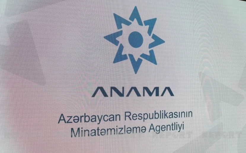 Azərbaycanın minaaxtaran iti və təlimçisi ABŞ-də beynəlxalq mükafat qazanıb