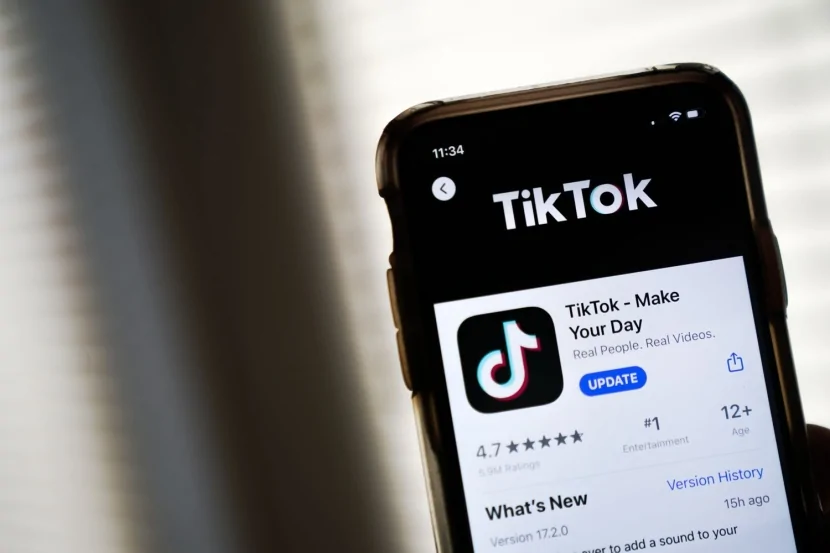 “TikTok” Azərbaycanda çox sayda videonu sildi
