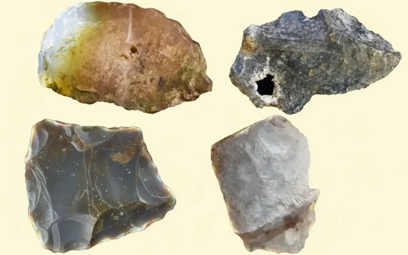 Yeni kəşf: İbtidai insanlar ixtiraçı olub 