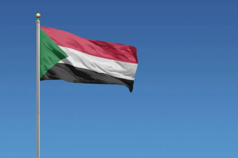 Sudanın hərbi təyyarəsi qəzaya uğrayıb, bütün heyət həlak olub