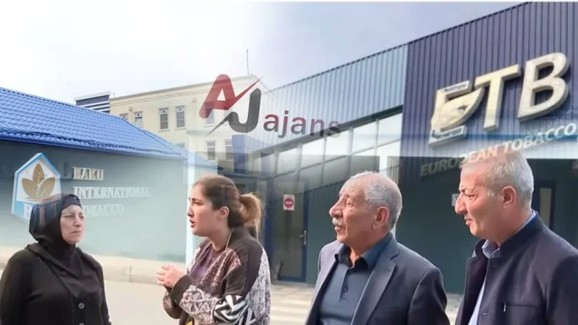 \"European Tobacco Baku\" səhmdarların pullarını geri ödəmir- İDDİA