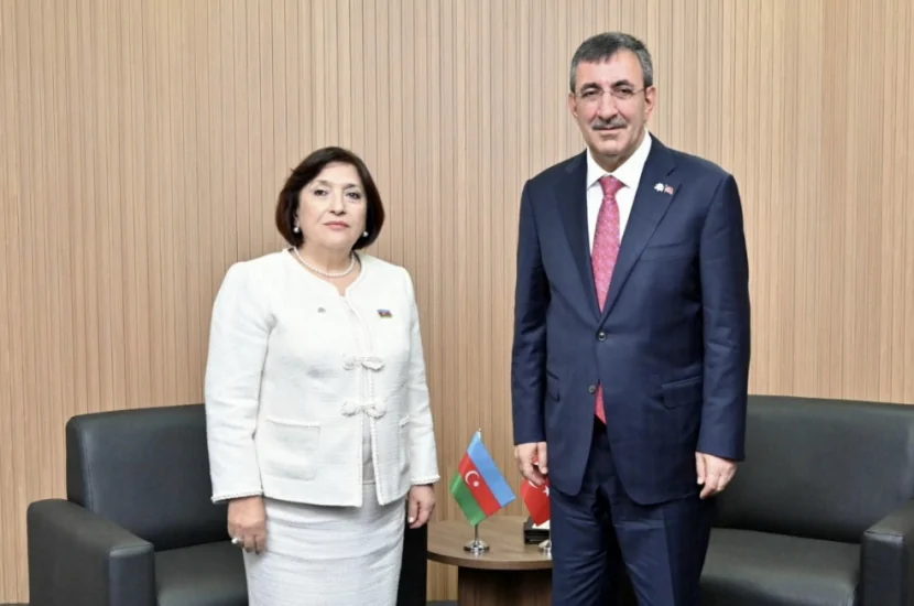 Sahibə Qafarova Türkiyənin vitse-prezidenti ilə görüşüb