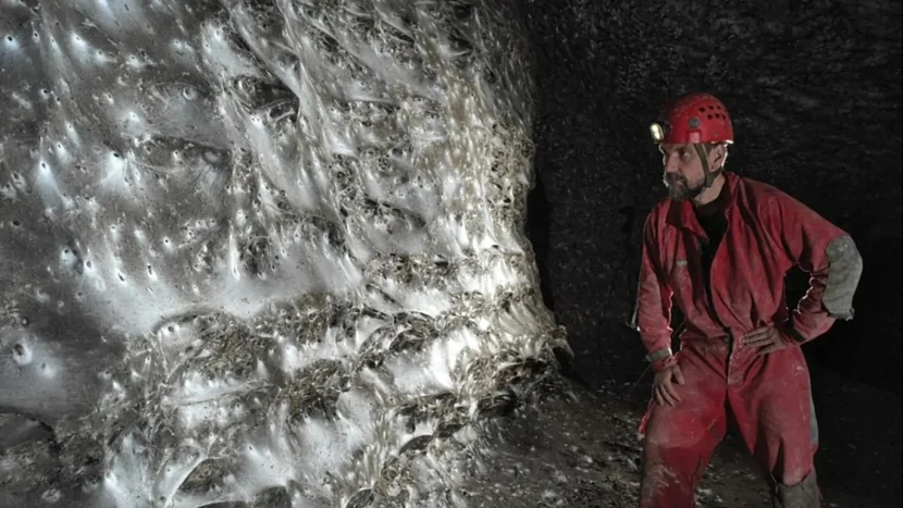 Dünyanın ən böyük hörümçək toru aşkar edilib