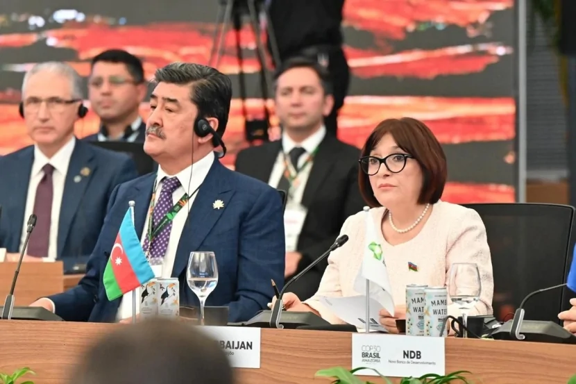Sahibə Qafarova COP30 çərçivəsində “Enerji Keçidi” sessiyasında çıxış etdi