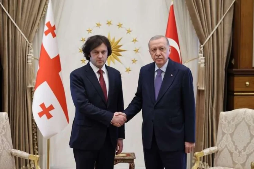 Ərdoğan və Kobaxidze təyyarə qəzası ilə bağlı axtarış-xilasetmə işlərini müzakirə edib 