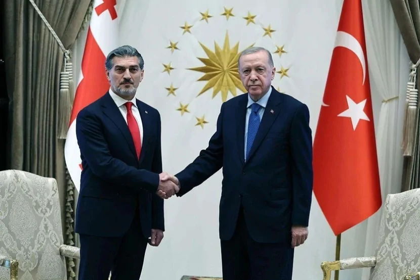 Ərdoğan və Kavelaşvili təyyarə qəzası ilə bağlı son vəziyyəti  müzakirə etdi