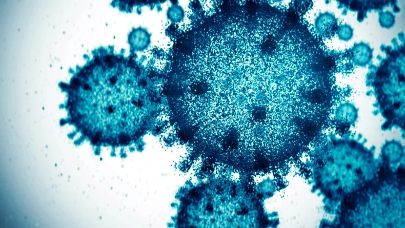 Rusiyada naməlum virus aşkar edilib