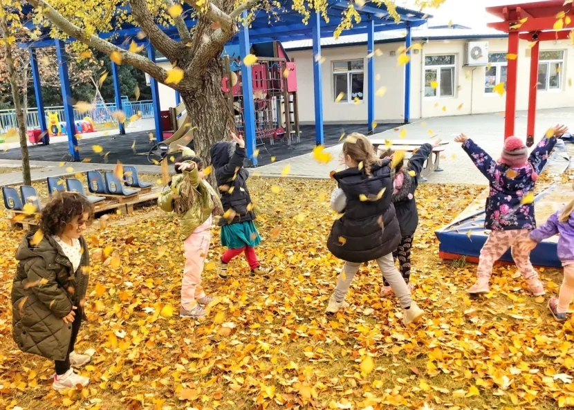 Məktəblərlə bağlı mühüm xəbər: BU TARİXDƏN