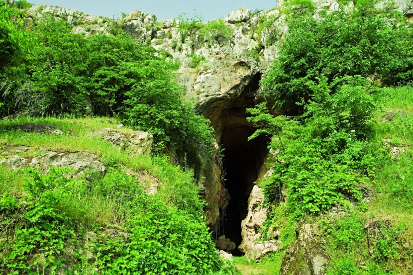 Rusiya və Azərbaycan arxeoloqları yenidən Azıx mağarasında