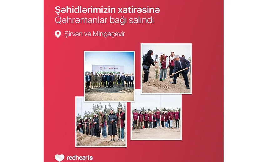 “Qəhrəmanlar bağı” layihəsi: Şəhidlərin xatirəsinə 543 ağac əkildi