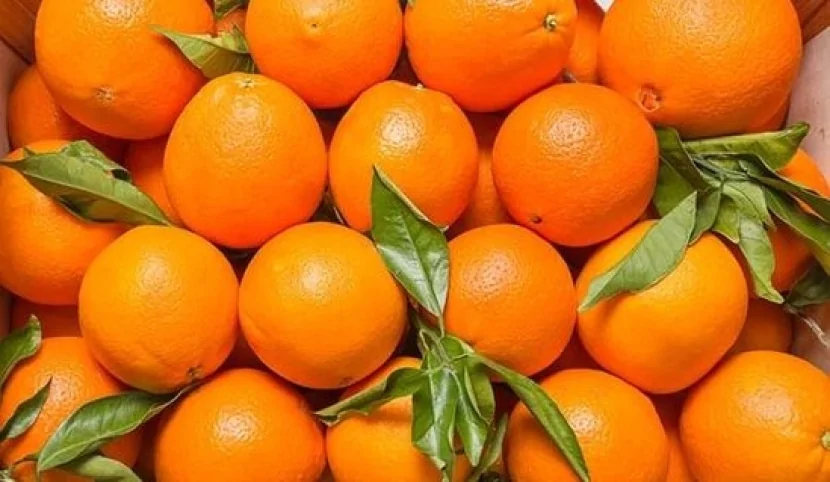İrandan gələn portağallar RƏNGLƏNİR? - TƏHLÜKƏ VAR