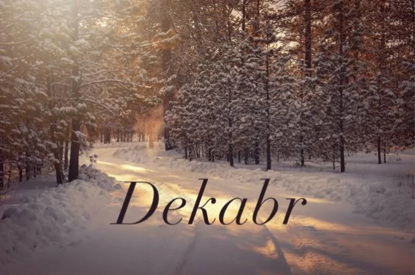 Dekabrda hava necə olacaq?- 1 aylıq PROQNOZ