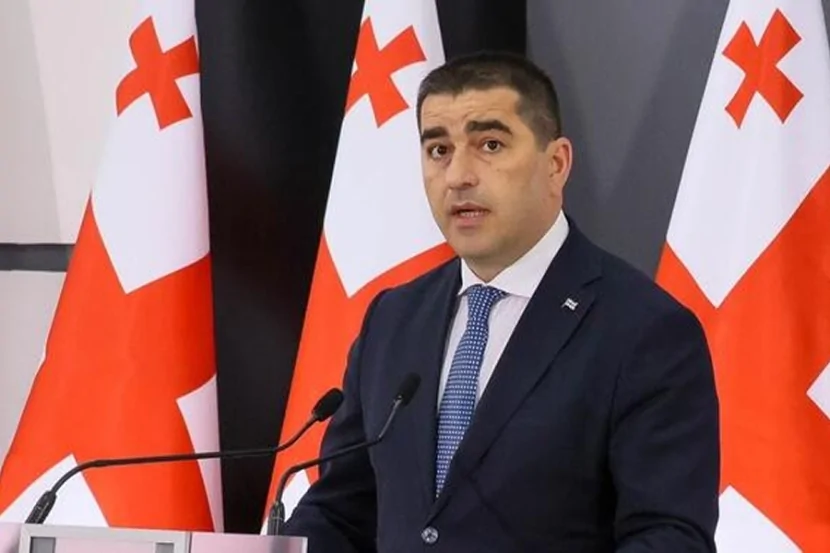 Gürcüstan Avropanın ÜZR istəməsini tələb edir