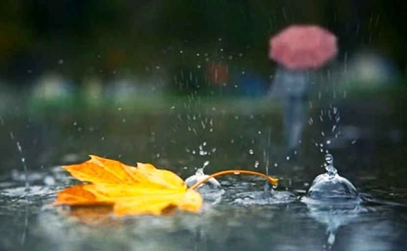 Yağıntılı hava bu tarixədək DAVAM EDƏCƏK