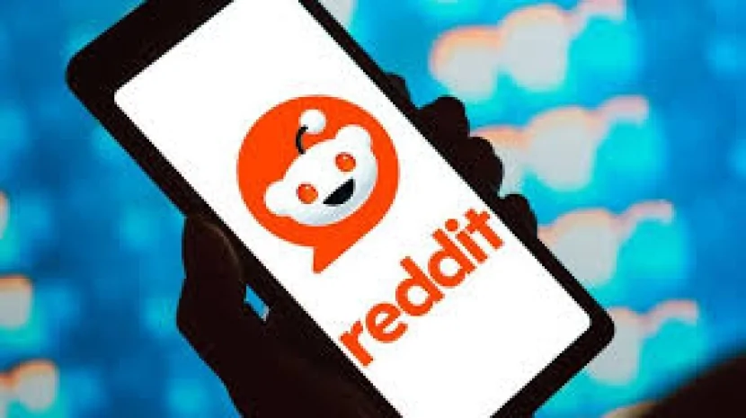 Reddit bu ölkəni məhkəməyə verəcək