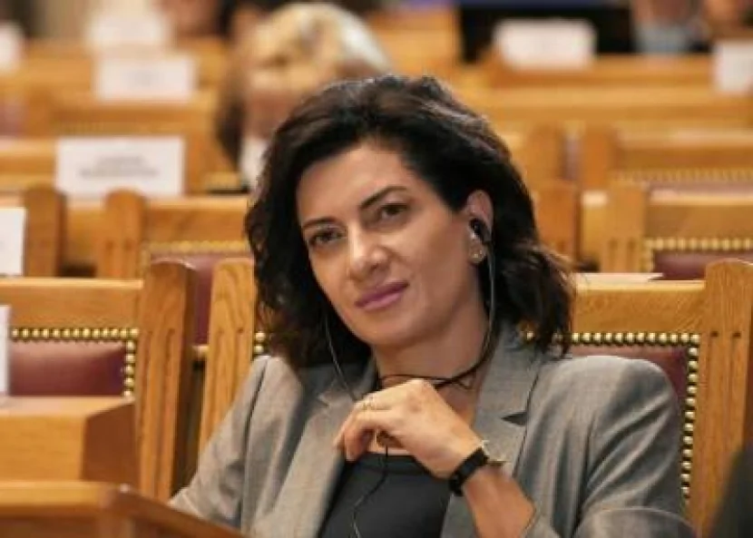 Anna Hakobyanın adına saxta WhatsApp hesabı yaradılıb