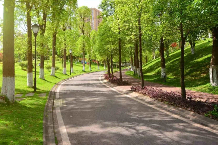 Azərbaycanda yeni PARK salınır